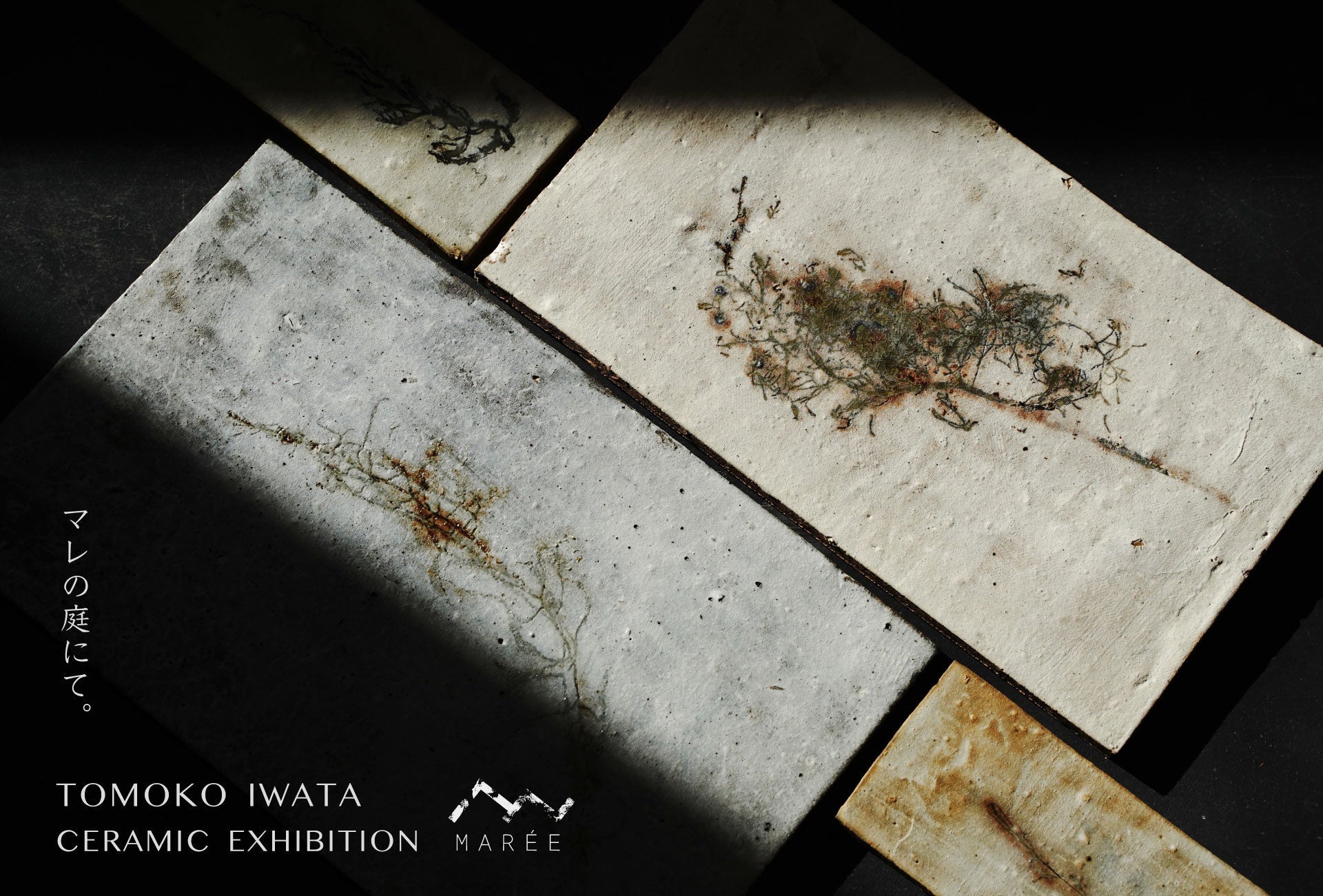 Tomoko Iwata Exhibition in MARÉE