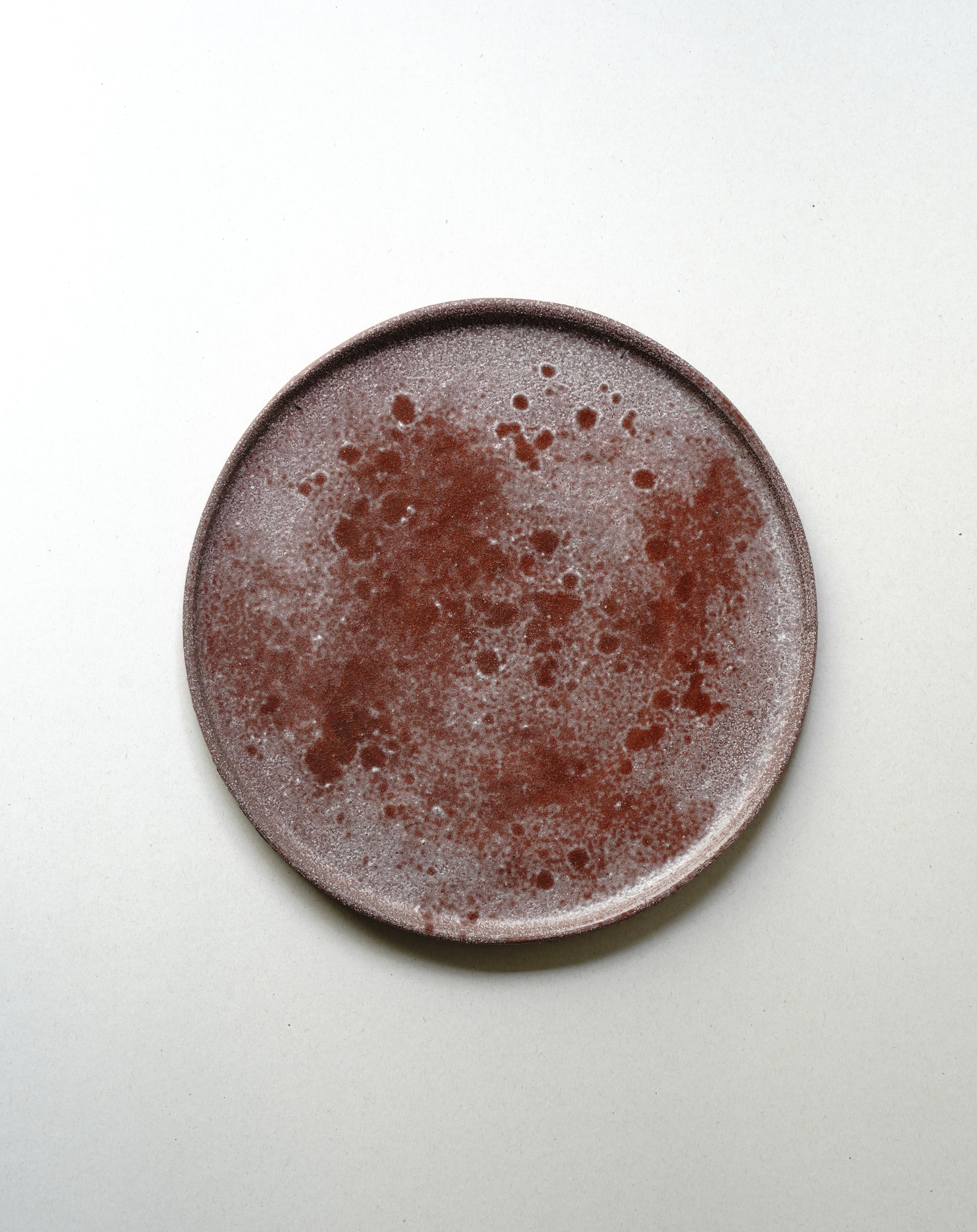 Flat plate 19 b